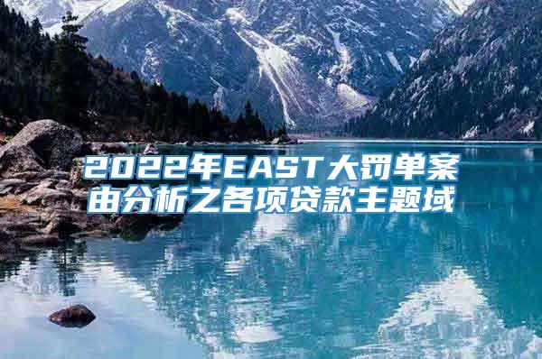 2022年EAST大罚单案由分析之各项贷款主题域