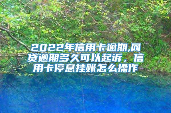 2022年信用卡逾期,网贷逾期多久可以起诉，信用卡停息挂账怎么操作