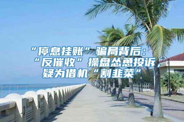 “停息挂账”骗局背后：“反催收”操盘怂恿投诉，疑为借机“割韭菜”