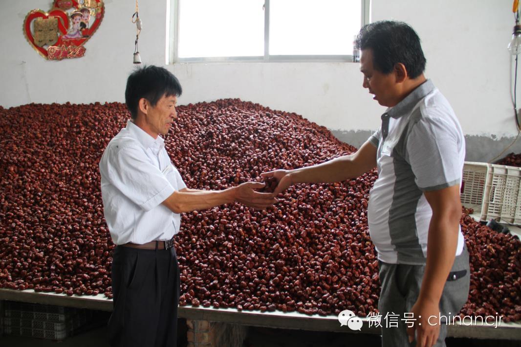 【最美乡村信贷员】曹学武：信用社里的“倔老汉”