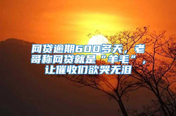 网贷逾期600多天，老哥称网贷就是“羊毛”，让催收们欲哭无泪