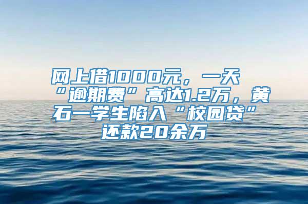 网上借1000元，一天“逾期费”高达1.2万，黄石一学生陷入“校园贷”还款20余万