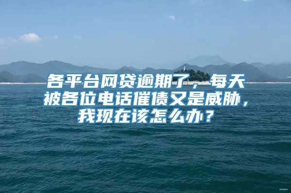 各平台网贷逾期了，每天被各位电话催债又是威胁，我现在该怎么办？