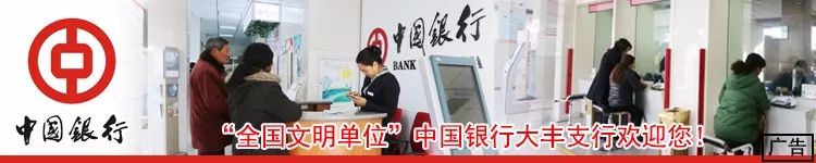 大丰人买房要趁早！贷款严查！二代征信很快上线！