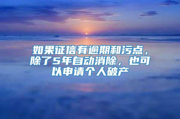 如果征信有逾期和污点，除了5年自动消除，也可以申请个人破产