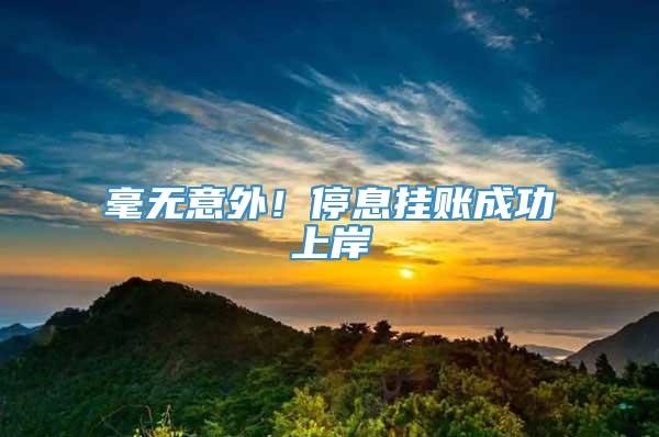 毫无意外！停息挂账成功上岸