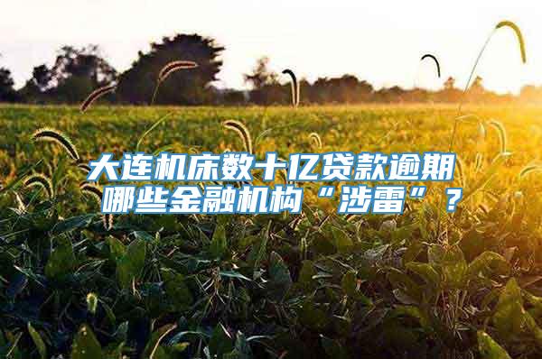 大连机床数十亿贷款逾期 哪些金融机构“涉雷”？