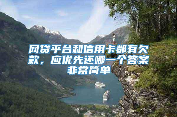 网贷平台和信用卡都有欠款，应优先还哪一个答案非常简单
