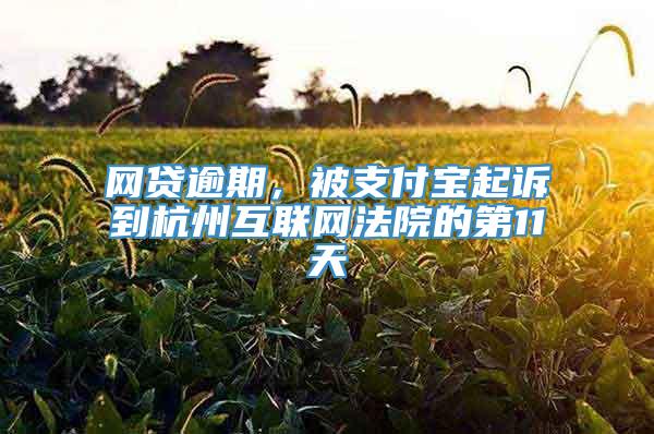 网贷逾期，被支付宝起诉到杭州互联网法院的第11天