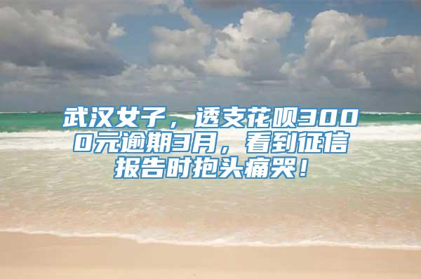 武汉女子，透支花呗3000元逾期3月，看到征信报告时抱头痛哭！