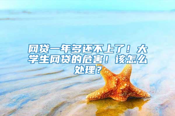 网贷一年多还不上了！大学生网贷的危害！该怎么处理？