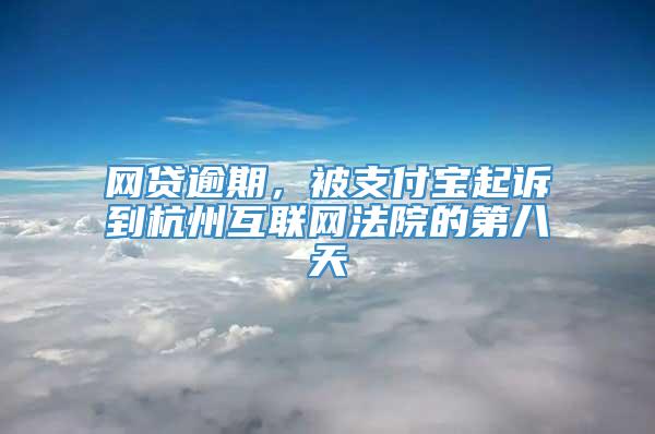 网贷逾期，被支付宝起诉到杭州互联网法院的第八天