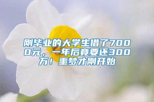 刚毕业的大学生借了7000元，一年后竟要还300万！噩梦才刚开始