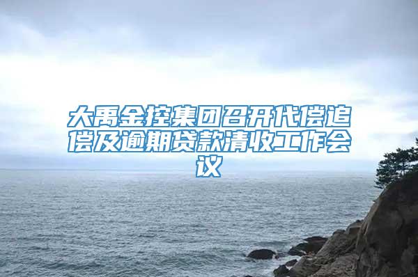 大禹金控集团召开代偿追偿及逾期贷款清收工作会议