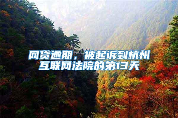网贷逾期，被起诉到杭州互联网法院的第13天
