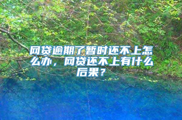 网贷逾期了暂时还不上怎么办，网贷还不上有什么后果？