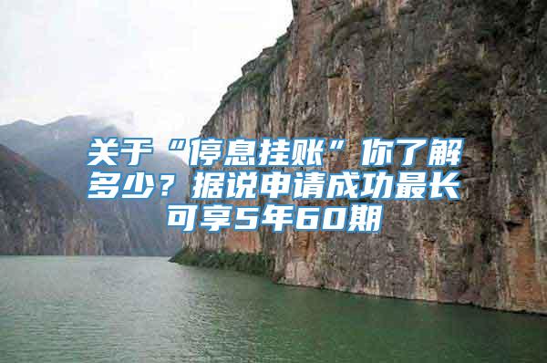 关于“停息挂账”你了解多少？据说申请成功最长可享5年60期