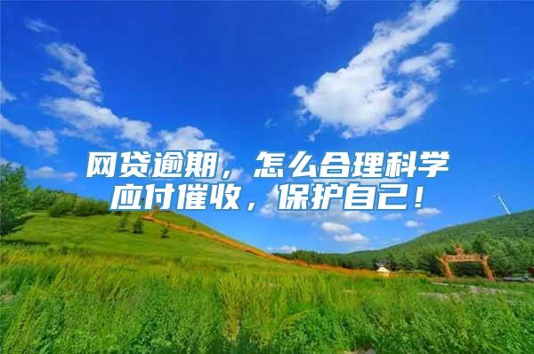 网贷逾期，怎么合理科学应付催收，保护自己！