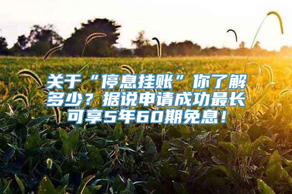 关于“停息挂账”你了解多少？据说申请成功最长可享5年60期免息！