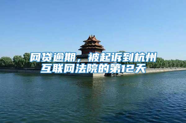 网贷逾期，被起诉到杭州互联网法院的第12天