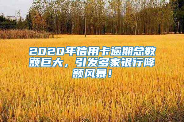 2020年信用卡逾期总数额巨大，引发多家银行降额风暴！