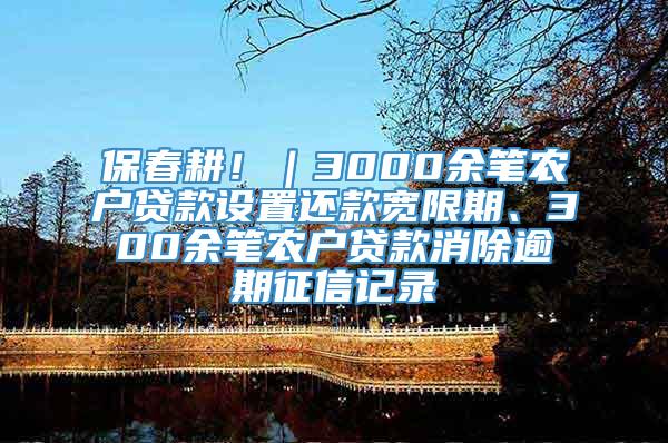 保春耕！｜3000余笔农户贷款设置还款宽限期、300余笔农户贷款消除逾期征信记录