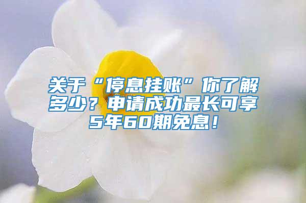 关于“停息挂账”你了解多少？申请成功最长可享5年60期免息！