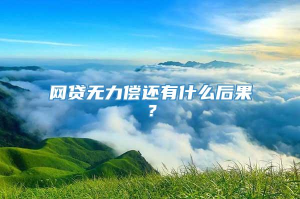 网贷无力偿还有什么后果？