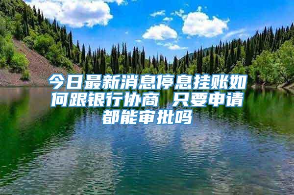 今日最新消息停息挂账如何跟银行协商 只要申请都能审批吗