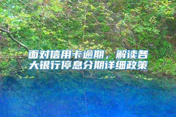 面对信用卡逾期，解读各大银行停息分期详细政策