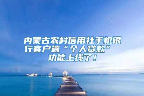 内蒙古农村信用社手机银行客户端“个人贷款” 功能上线了！