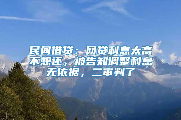 民间借贷：网贷利息太高不想还，被告知调整利息无依据，二审判了