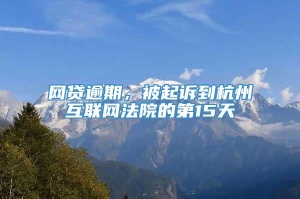 网贷逾期，被起诉到杭州互联网法院的第15天