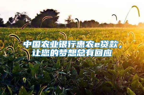 中国农业银行惠农e贷款，让您的梦想总有回应