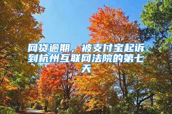 网贷逾期，被支付宝起诉到杭州互联网法院的第七天