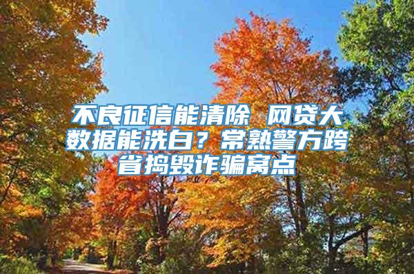 不良征信能清除 网贷大数据能洗白？常熟警方跨省捣毁诈骗窝点