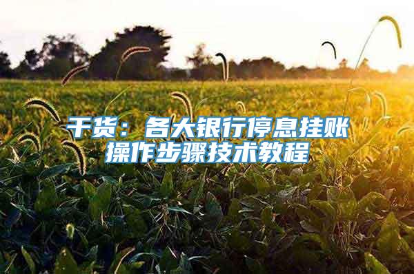 干货：各大银行停息挂账操作步骤技术教程