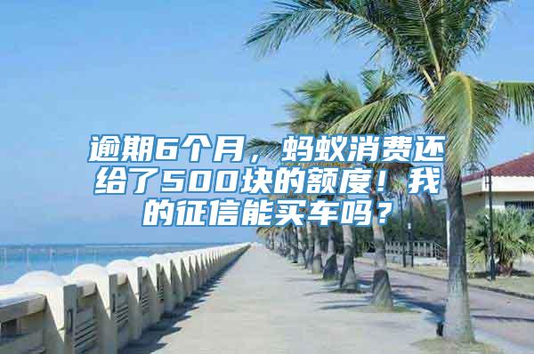 逾期6个月，蚂蚁消费还给了500块的额度！我的征信能买车吗？