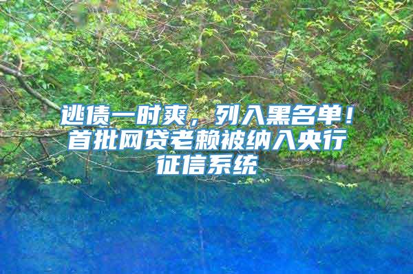 逃债一时爽，列入黑名单！首批网贷老赖被纳入央行征信系统