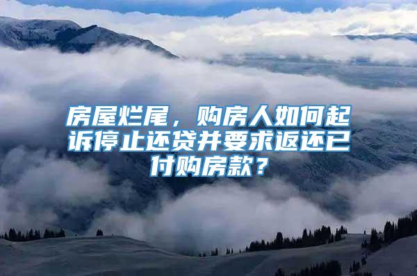 房屋烂尾，购房人如何起诉停止还贷并要求返还已付购房款？