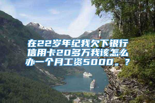 在22岁年纪我欠下银行信用卡20多万我该怎么办一个月工资5000。？