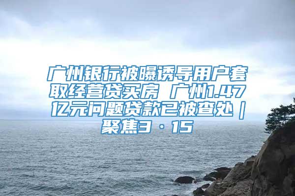 广州银行被曝诱导用户套取经营贷买房 广州1.47亿元问题贷款已被查处｜聚焦3·15