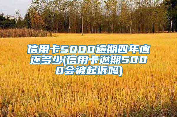 信用卡5000逾期四年应还多少(信用卡逾期5000会被起诉吗)