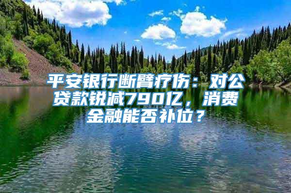 平安银行断臂疗伤：对公贷款锐减790亿，消费金融能否补位？