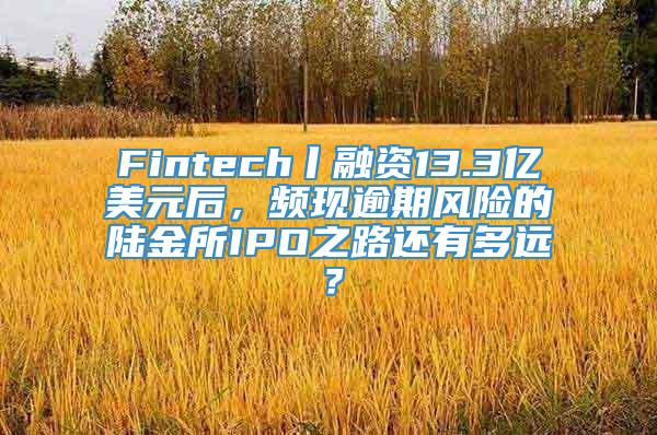 Fintech丨融资13.3亿美元后，频现逾期风险的陆金所IPO之路还有多远？