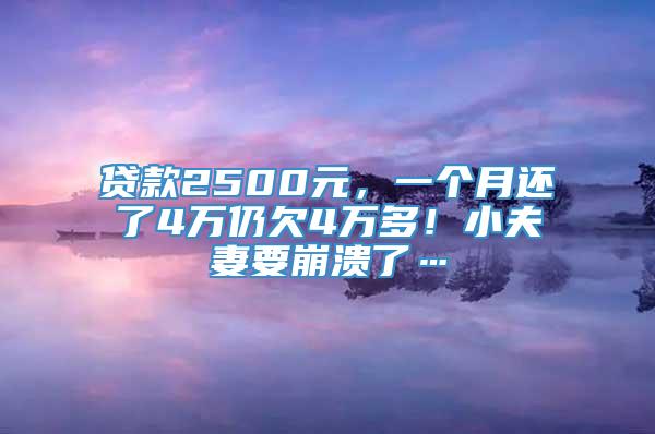 贷款2500元，一个月还了4万仍欠4万多！小夫妻要崩溃了…