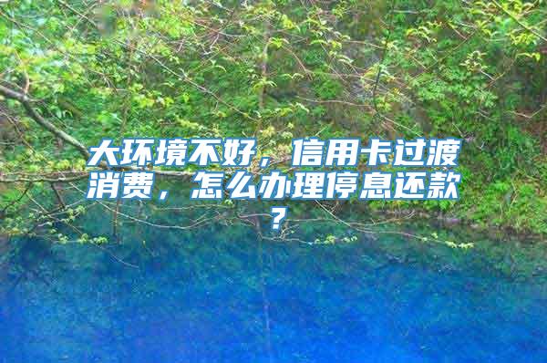 大环境不好，信用卡过渡消费，怎么办理停息还款？