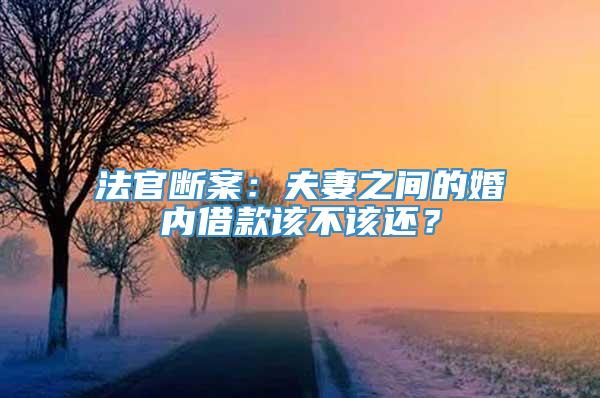 法官断案：夫妻之间的婚内借款该不该还？