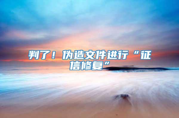 判了！伪造文件进行“征信修复”