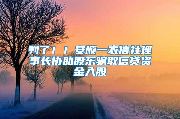 判了！！安顺一农信社理事长协助股东骗取信贷资金入股